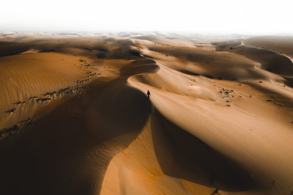 Arabian Sand Desert