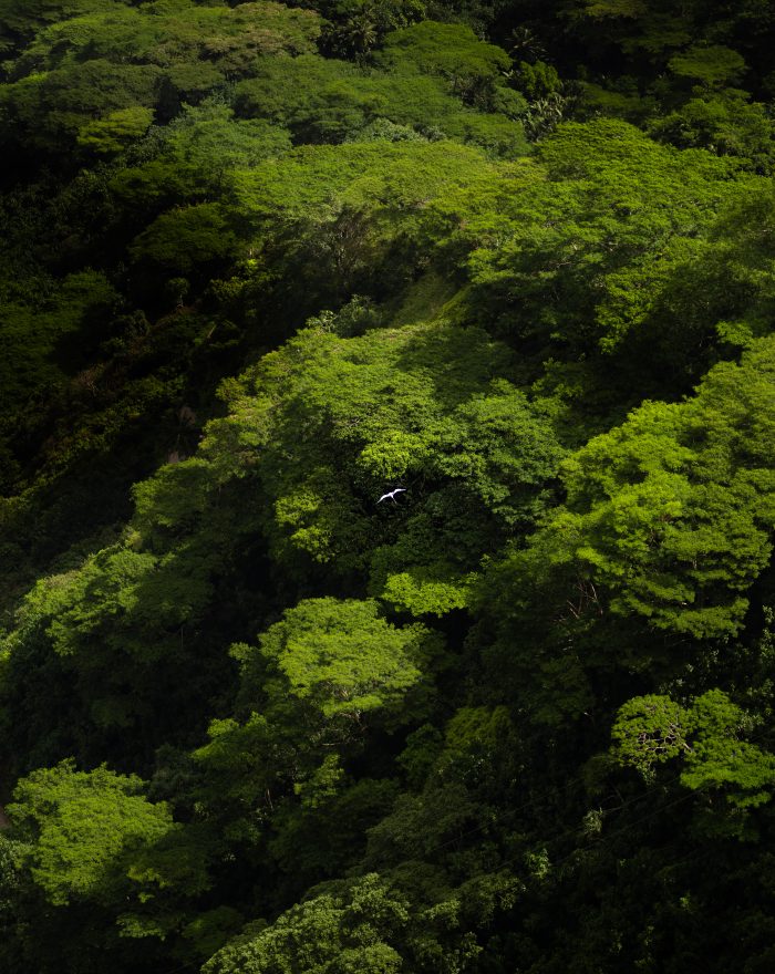 L1050298 L1050298